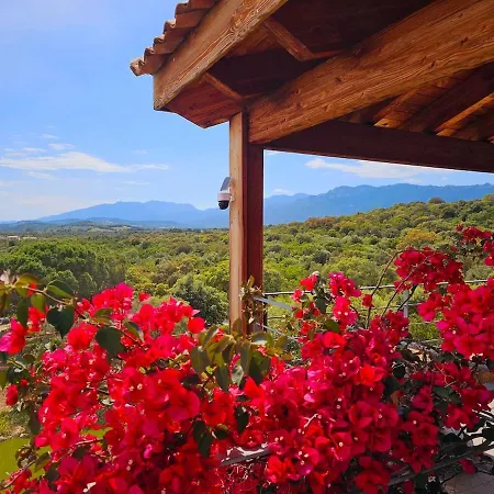 Samsara, Piscine & Luxe Βίλα Lecci